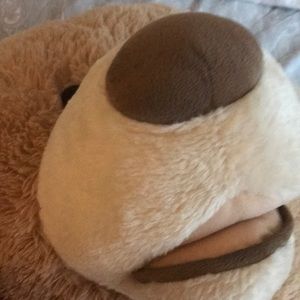 Meet your Posher, Rafi